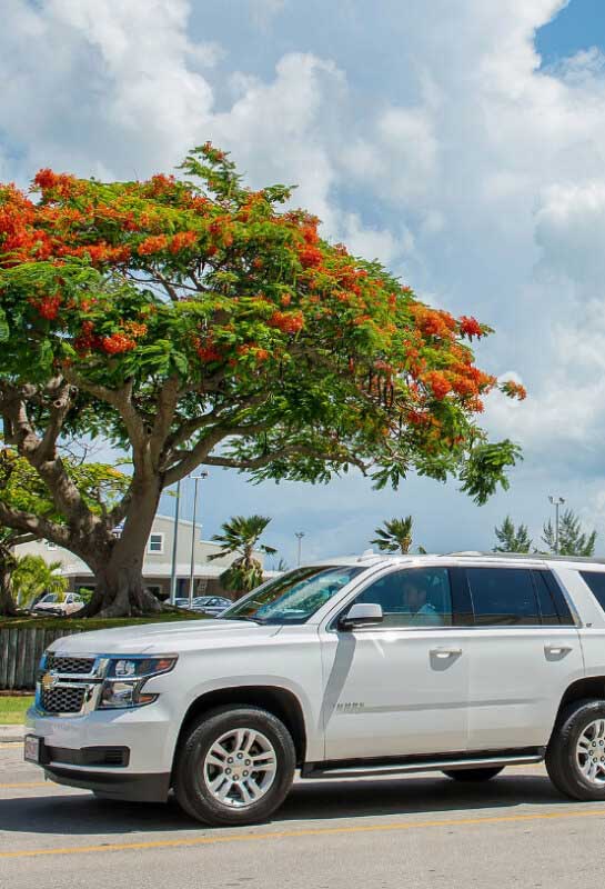 Fleet Service in Grand Cayman