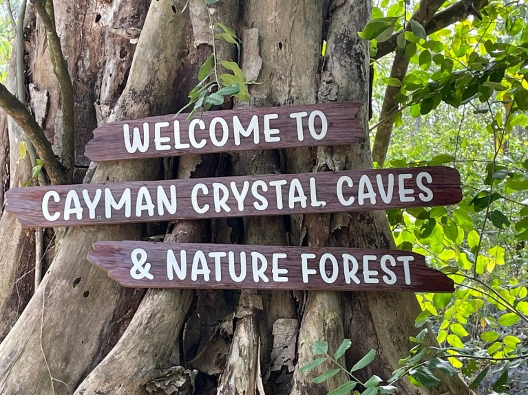 Cayman Crystal Caves Tour