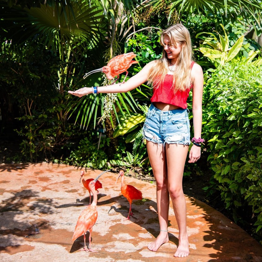 West Island Adventure Tour