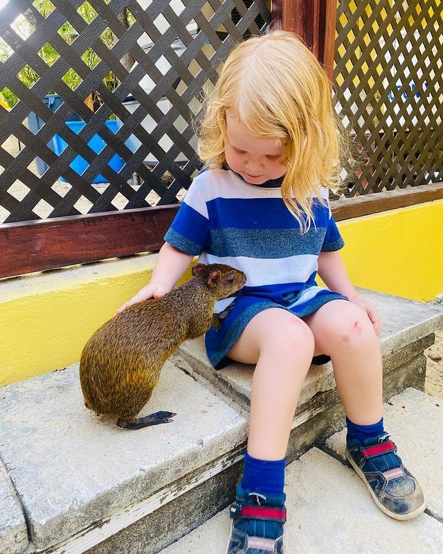 2722876273867303332139882845377999453933340n