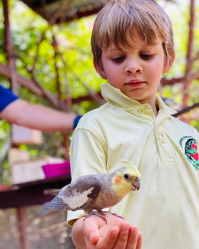 2729136332407932148845131845414278068335876n