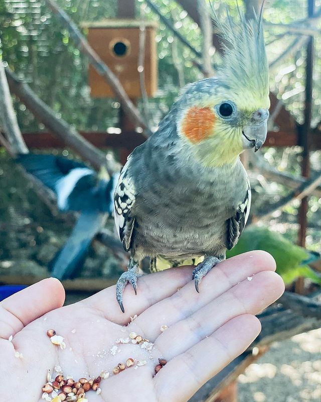 2748040501547236669145041283139450222039986n