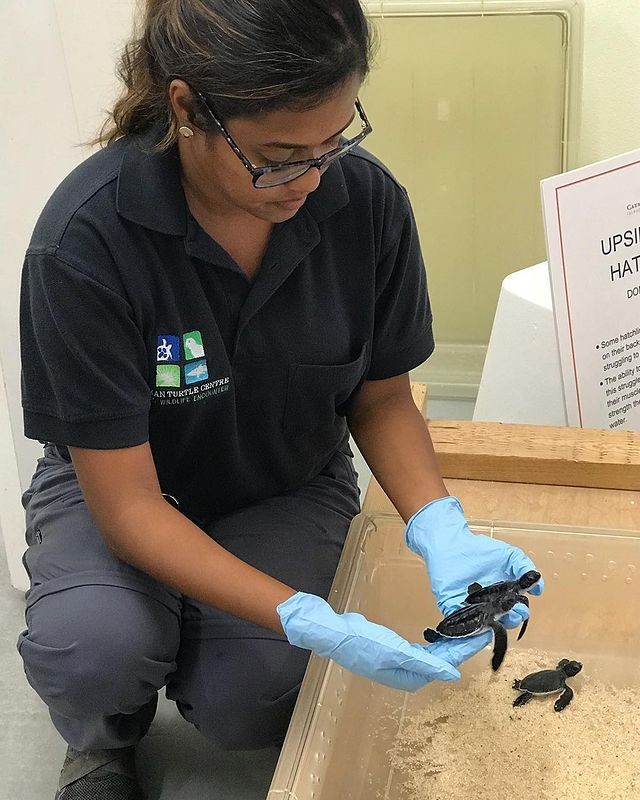 3799375821046658231395569008176385570635776n