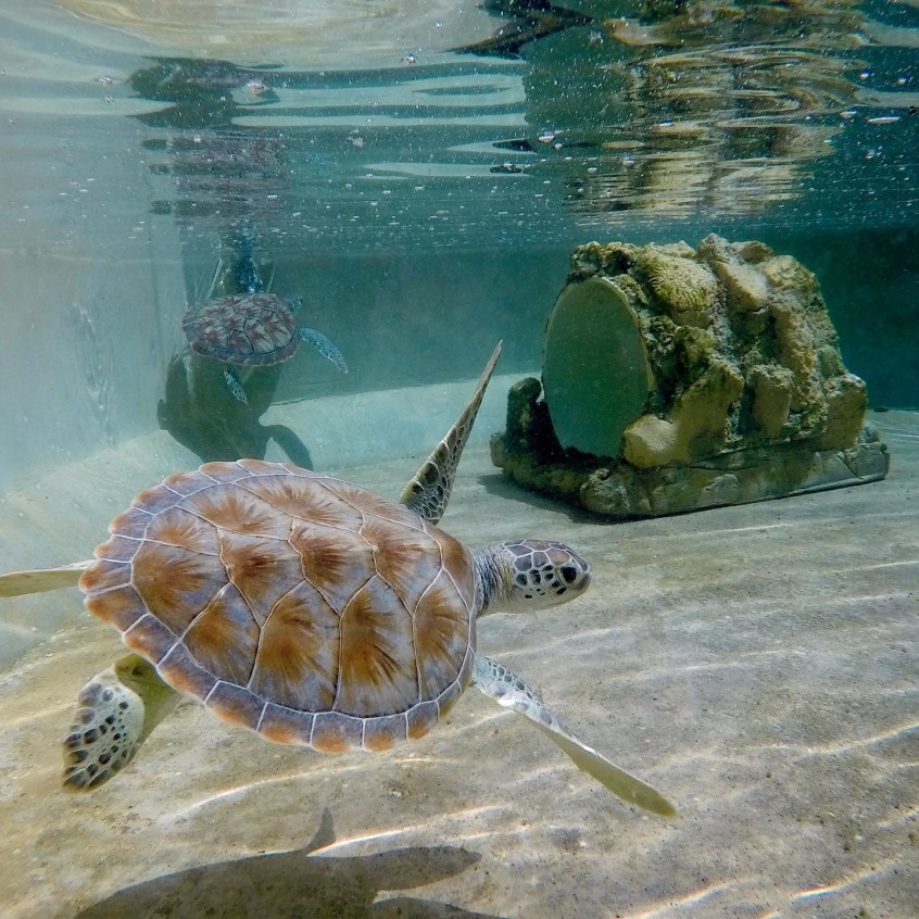 7154354917057376762258795173740941777508716n