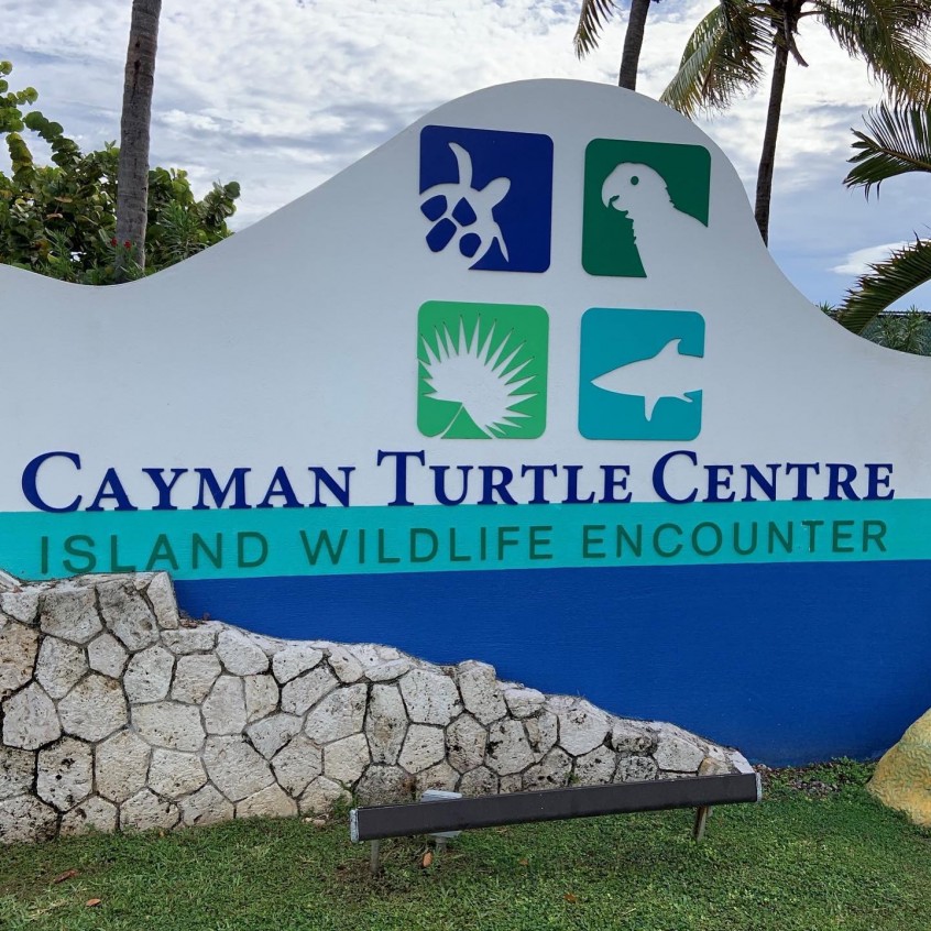 Cayman Turtle Centre