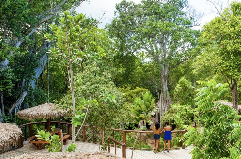 SorensensCavescorr8485Lens20