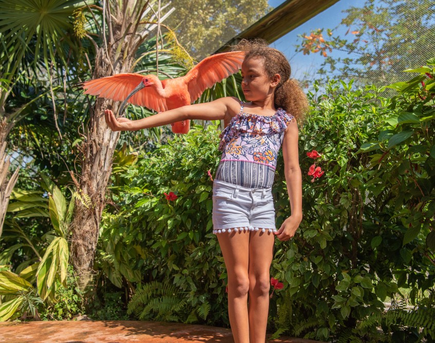 West Island Adventure Tour